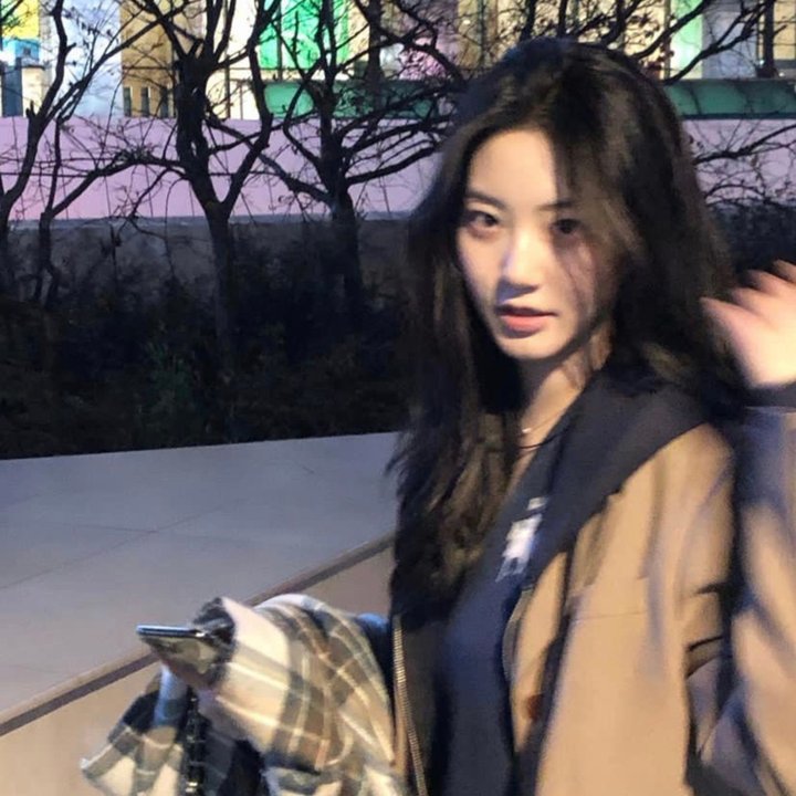 梦里花落知多少